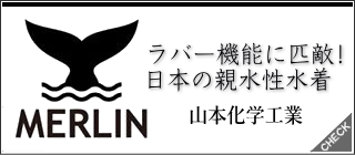 MERLIN(マーリン)